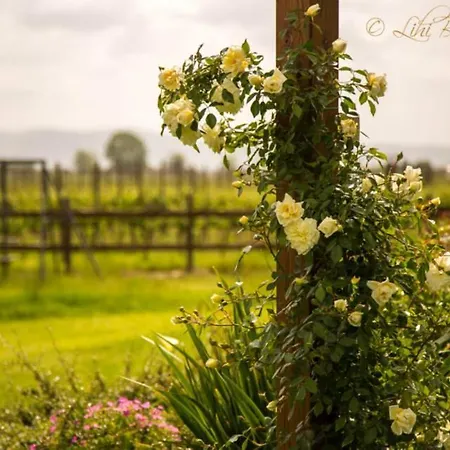 Agrisalotto Vakantieboerderij