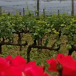 Agrisalotto *