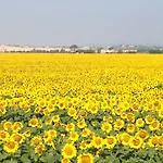 Agrisalotto