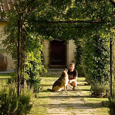 Agrisalotto Фермерський будинок *