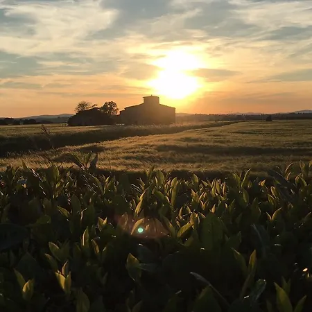 Farm stay Agrisalotto Cortona