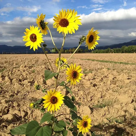 Agroturismo Agrisalotto