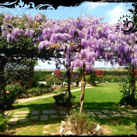 Farm stay Agrisalotto
