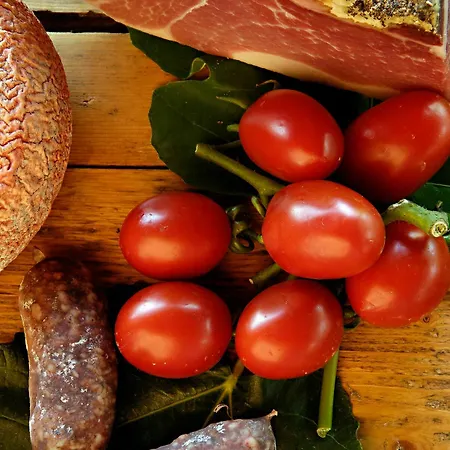 Agrisalotto Farm stay Cortona