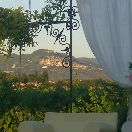 Agrisalotto Farm stay Cortona