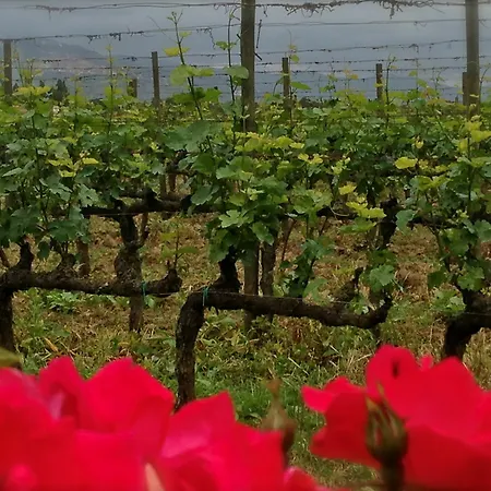 Farm stay Agrisalotto