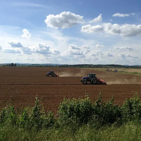 Agrisalotto كورتونا