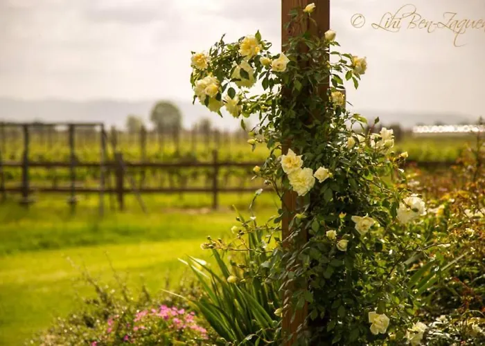 Agrisalotto בית חווה