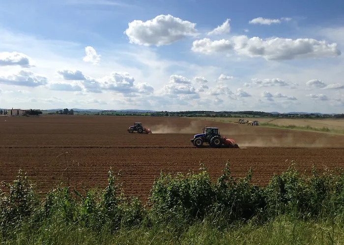 Agrisalotto קורטונה